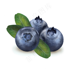 新鲜蓝莓水果营养