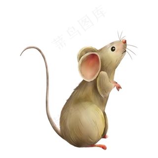 一只小老鼠,免抠元素
