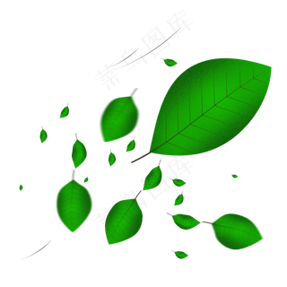 飘落被风吹着的树叶