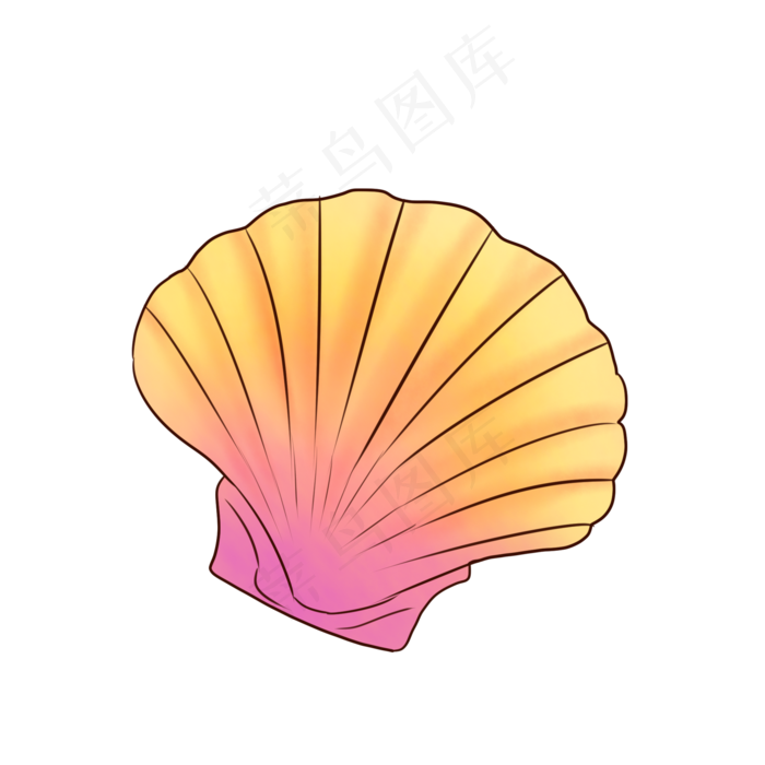 手绘彩色贝壳插画