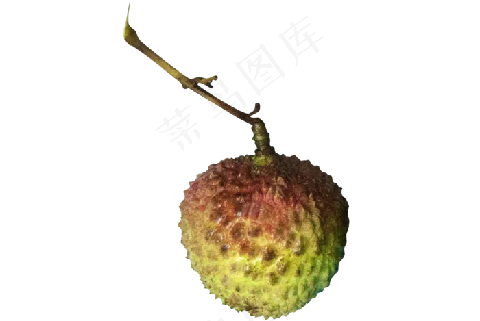 水果绿色红色荔枝,免抠元素(3872*2592px 300 dpi )