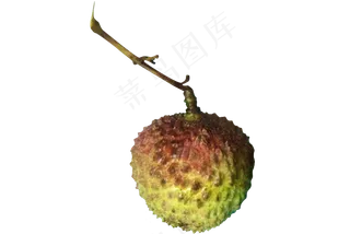 水果绿色红色荔枝,免抠元素