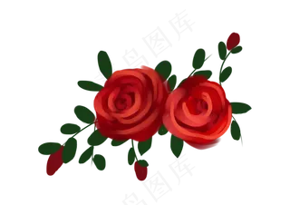 红色玫瑰