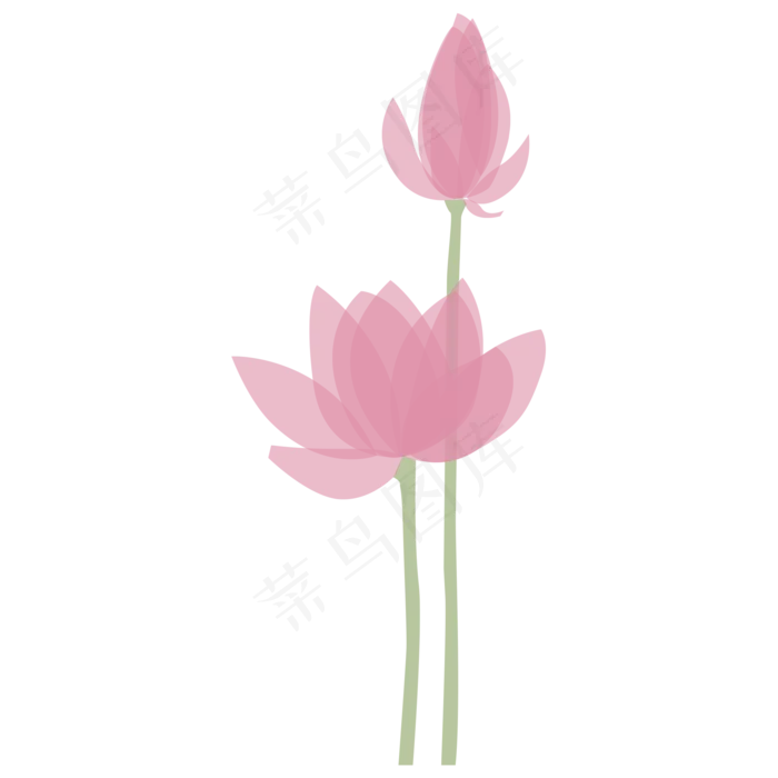 一株粉色似开未开的荷花(2000X2000(DPI:300))psd模版下载