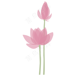 一株粉色似开未开的荷花