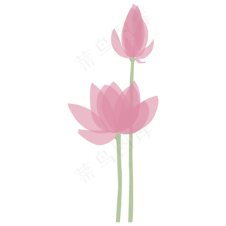 一株粉色似开未开的荷花