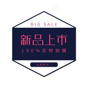 电商新品上市促销
