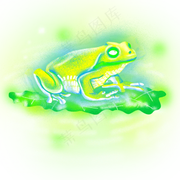 梦幻两栖动物青蛙荷叶(2000X2000(DPI:300))psd模版下载