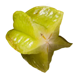 实拍果林饭后休闲水果