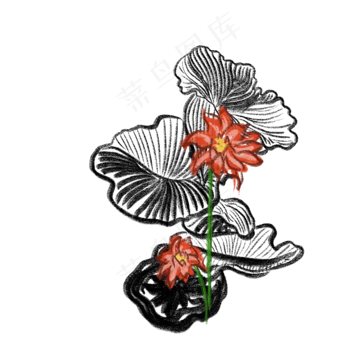 写意荷花免抠插图创意插图(2000X2000(DPI:132))psd模版下载