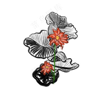 写意荷花免抠插图创意插图