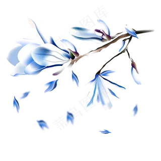 冬季结霜蓝色花朵