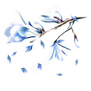 冬季结霜蓝色花朵