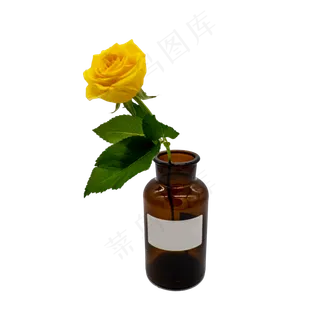 黄玫瑰和茶色玻璃瓶