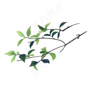 春天里发芽的树叶,免抠元素