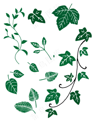 多种植物叶子手绘套图混合合集