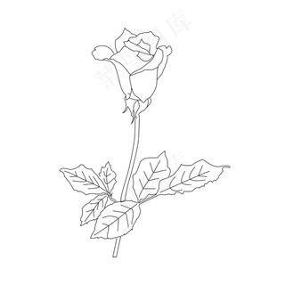 七夕情人节玫瑰简笔花朵简约