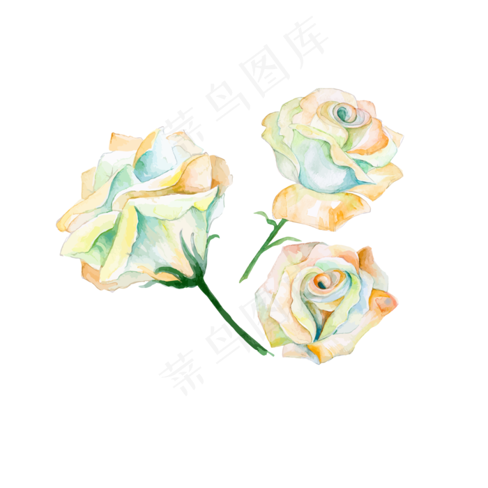 水彩风花卉植物黄色花朵矢量图(2000X2000(DPI:132))ai矢量模版下载