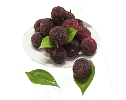 水果杨梅 水果杨梅