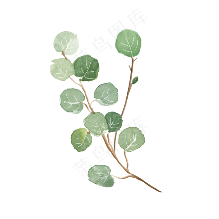 水彩植物绿叶手绘风小清新,免抠元素