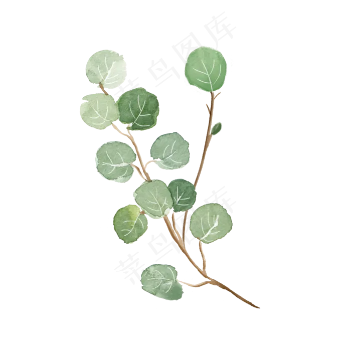 水彩植物绿叶手绘风小清新,免抠元素