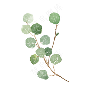 水彩植物绿叶手绘风小清新,免抠元素