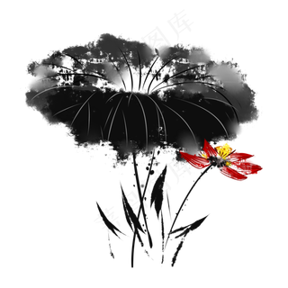 中国风水墨荷花