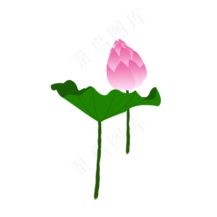 荷花荷花图荷花荷叶花骨朵元素(2000X2000(DPI:300))psd模版下载