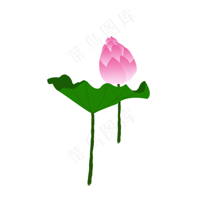 荷花荷花图荷花荷叶花骨朵元素(2000X2000(DPI:300))psd模版下载