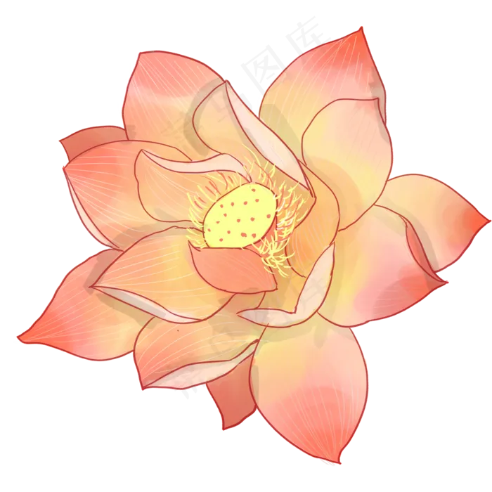 美丽盛开荷花装饰元素(2000X2000(DPI:119))psd模版下载