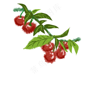 采摘茂盛的水果樱桃