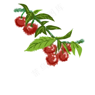 采摘茂盛的水果樱桃