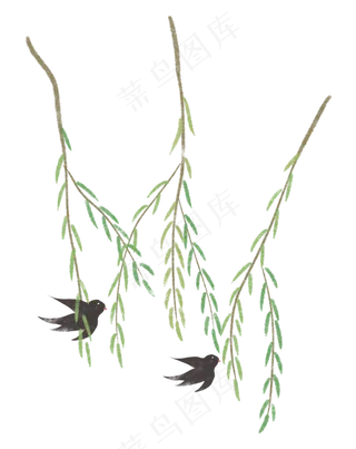 清明节柳树植物燕子柳芽