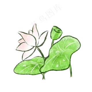 水墨水彩风格夏日荷花