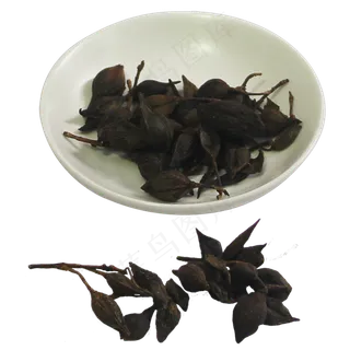 连翘中药药材,免抠元素