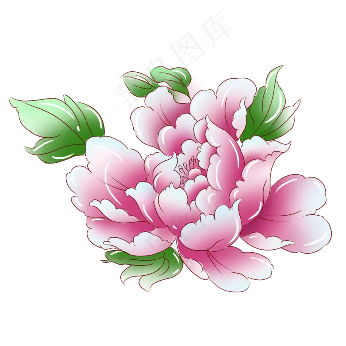 植物粉红色牡丹花(2000X2000(DPI:300))psd模版下载