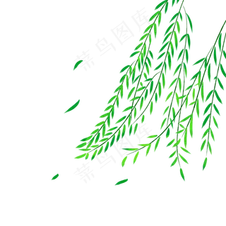 绿色植物叶子手绘柳条透明底免抠