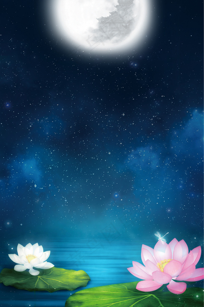 简单荷花池夜景背景