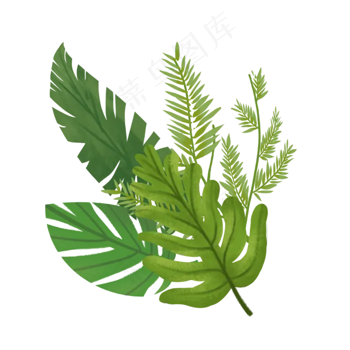 热带植物树叶组合,免抠元素