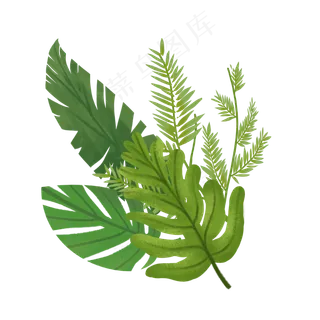 热带植物树叶组合,免抠元素