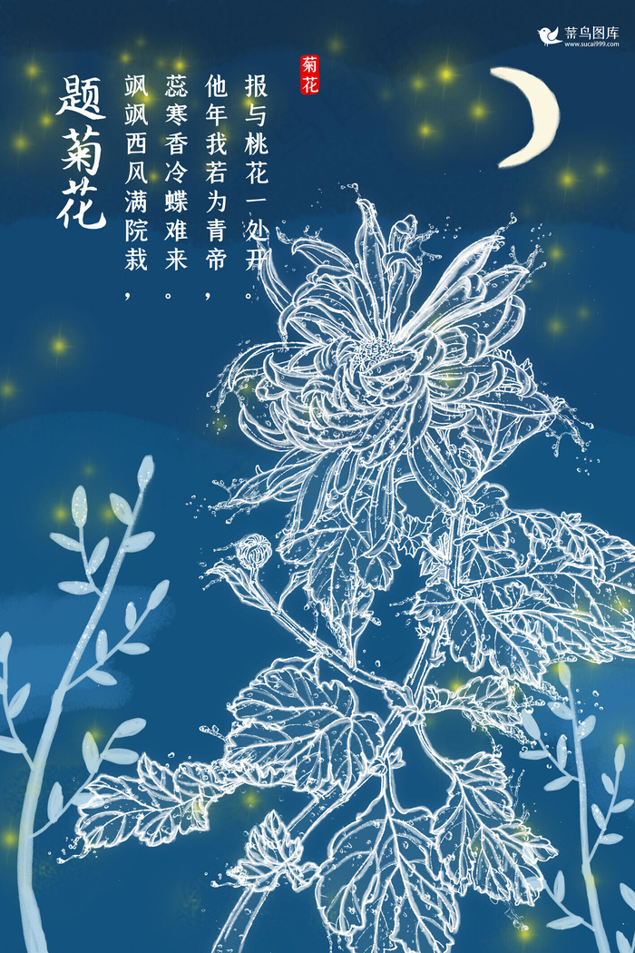 创意海洋之灵菊花海报水形物语