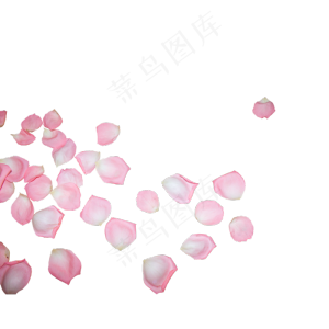 一片粉色玫瑰花瓣