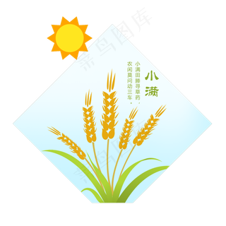 小满节气卡通手绘小麦,免抠元素