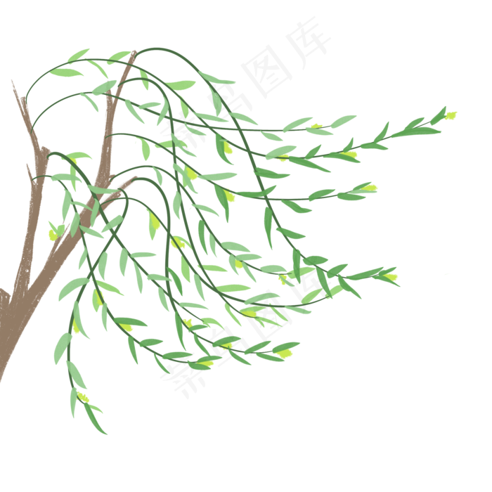 柳叶在春风中狂舞,免抠元素