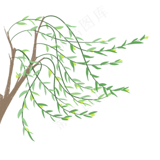 柳叶在春风中狂舞,免抠元素