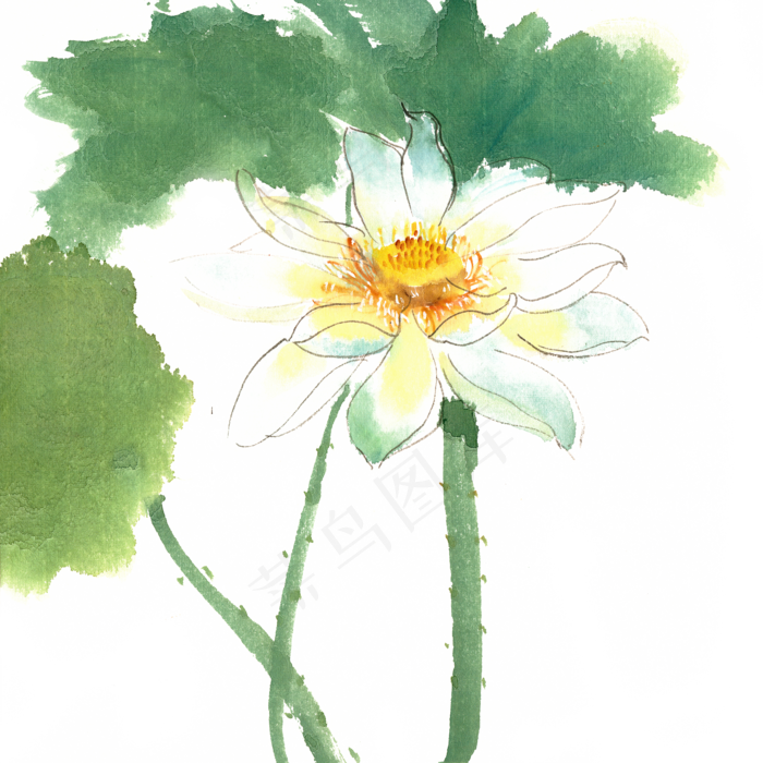 白色的荷花(4724X4724(DPI:300))psd模版下载