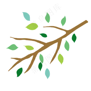 带树叶的树枝卡通