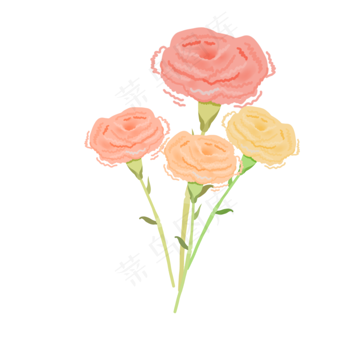 一束康乃馨橙色花(2000X2000(DPI:300))psd模版下载