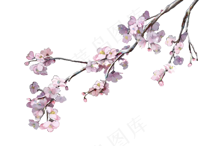 冬季水墨梅花(2978X2000(DPI:300))psd模版下载