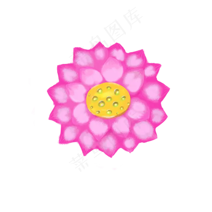 粉色美丽荷花(2000X2000(DPI:300))psd模版下载